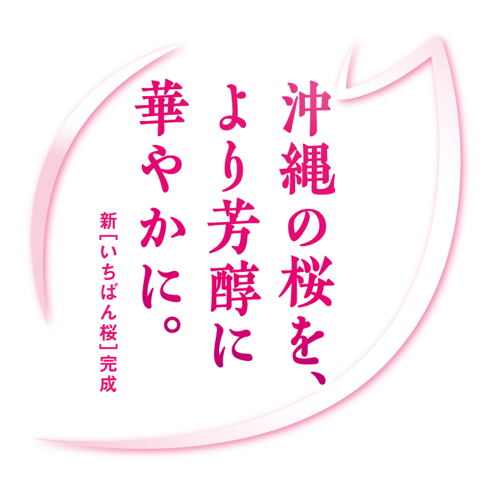 沖縄の桜をより芳醇に華やかに。