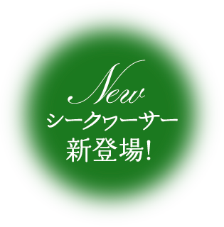 シークヮーサー新登場