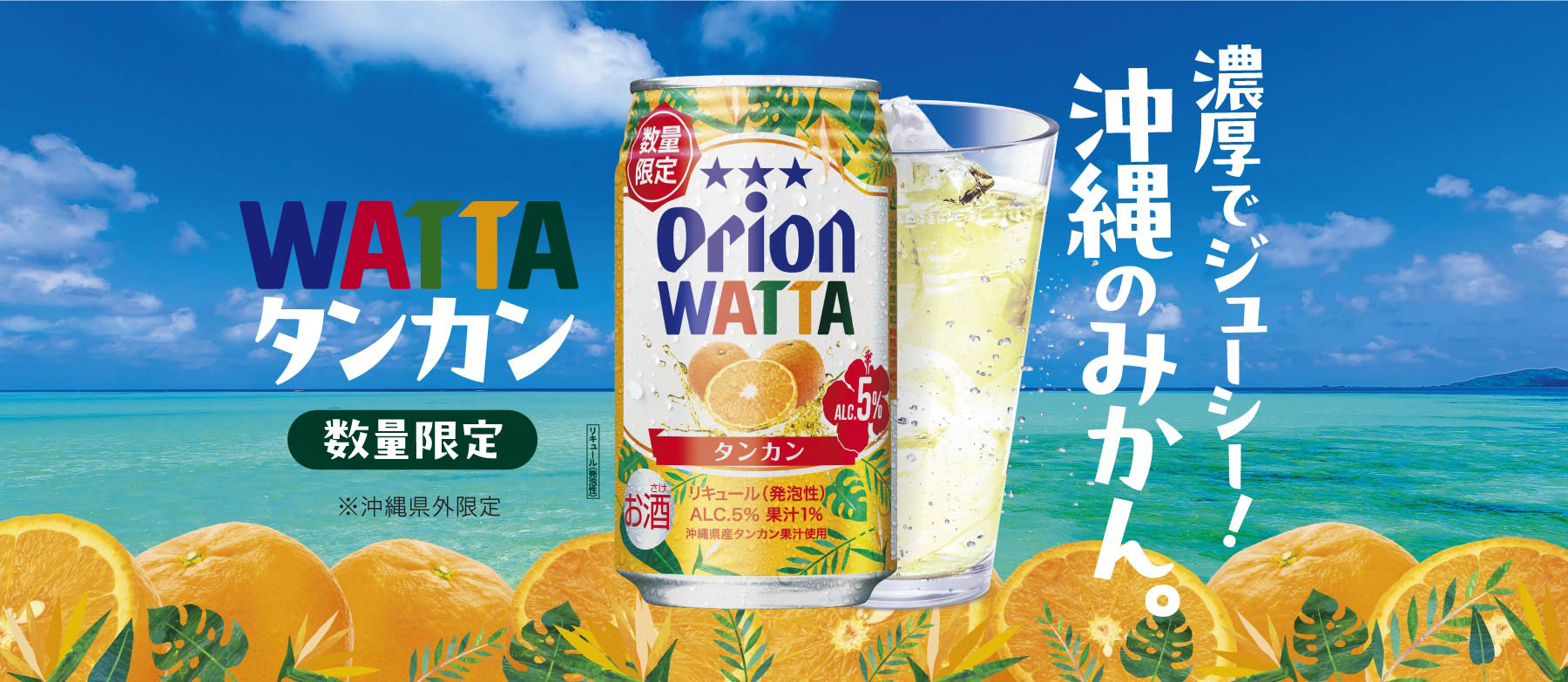 WATTAタンカン数量限定発売